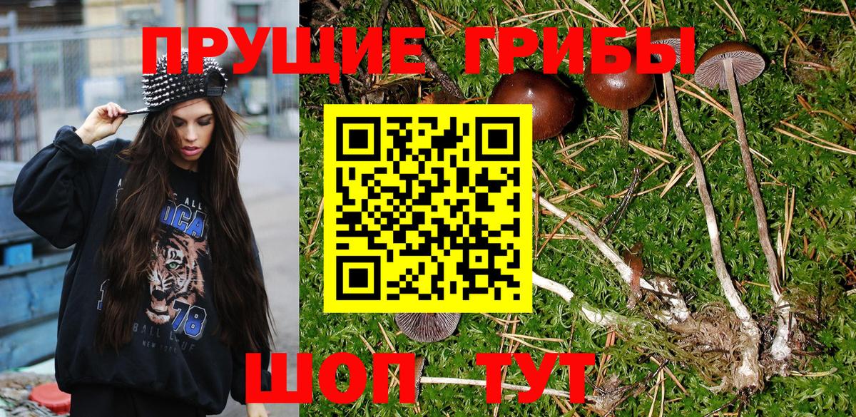 Галлюциногенные грибы MAGIC MUSHROOMS  Псилоцибиновые грибы Psilocybine cubensis  Вход с VPN  Шарыпово 